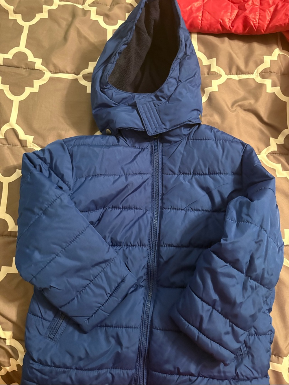 GAP Royal Blue Hooded Puffer Jacket for Kids